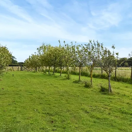 Swallow - Uk47528 בית נופש
